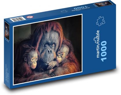 Orangutan - monkeys, monkeys - Puzzle 1000 pieces, size 60x46 cm 