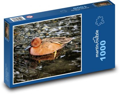 Kačica - vodný vták, jazero - Puzzle 1000 dielikov, rozmer 60x46 cm