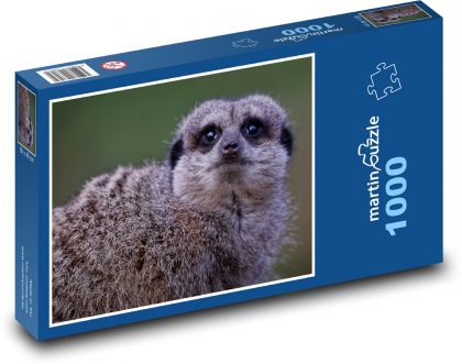 Surykatka - ssak, zwierzę - Puzzle 1000 elementów, rozmiar 60x46 cm