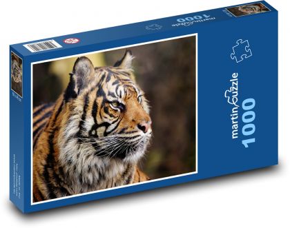 Tiger sumaterský - zviera, lovec - Puzzle 1000 dielikov, rozmer 60x46 cm