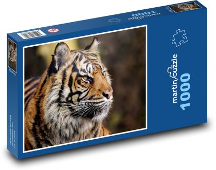 Sumatran tiger - animal, hunter - Puzzle 1000 pieces, size 60x46 cm 
