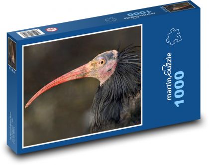 Ibis - pták, zvíře - Puzzle 1000 dílků, rozměr 60x46 cm