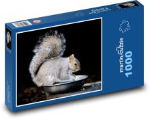 Šedá veverka - hlodavec, savec Puzzle 1000 dílků - 60 x 46 cm