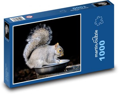 Šedá veverka - hlodavec, savec - Puzzle 1000 dílků, rozměr 60x46 cm
