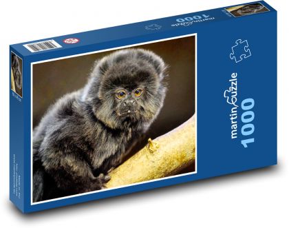 Kozman - opice, mačkodan - Puzzle 1000 dielikov, rozmer 60x46 cm