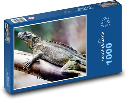 Lizard - reptile, animal - Puzzle 1000 pieces, size 60x46 cm 