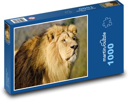Asijský lev - lovec, savec - Puzzle 1000 dílků, rozměr 60x46 cm