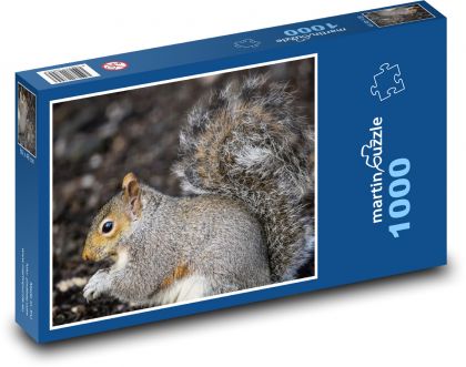 Šedá veverka - hlodavec, savec - puzzle 1000 dílků