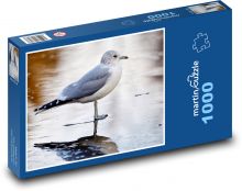 Möwe - Vogel, Meer Puzzle 1000 Teile - 60 x 46 cm