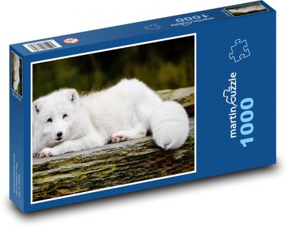 Liška polární - sněžná liška, zvíře - Puzzle 1000 dílků, rozměr 60x46 cm