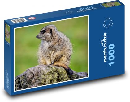 Surikata - zvíře, savec - Puzzle 1000 dílků, rozměr 60x46 cm