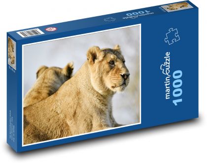 Lioness - big cat, animal - Puzzle 1000 pieces, size 60x46 cm 