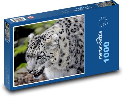 Leopard - zvíře, savec - Puzzle 1000 dílků, rozměr 60x46 cm