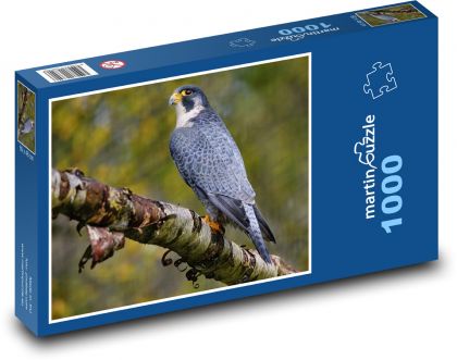 Sokol - dravec, pták - puzzle 1000 dílků