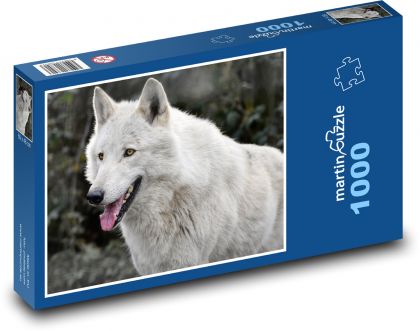 Vlk šedivý - šelma, vytie vlkov - Puzzle 1000 dielikov, rozmer 60x46 cm