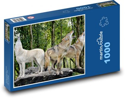Wilki - wyjące wilki, drapieżniki - Puzzle 1000 elementów, rozmiar 60x46 cm