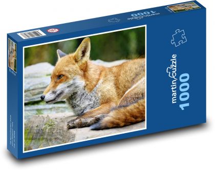Líška - lovec, cicavec - Puzzle 1000 dielikov, rozmer 60x46 cm