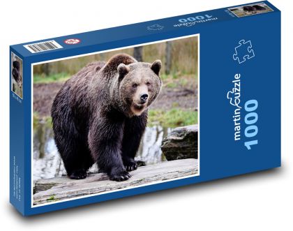Braunbär - Jäger, Tier - Puzzle - 1000 Teile