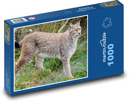 Rys ostrovit - bestia, drapieżnik - Puzzle 1000 elementów, rozmiar 60x46 cm