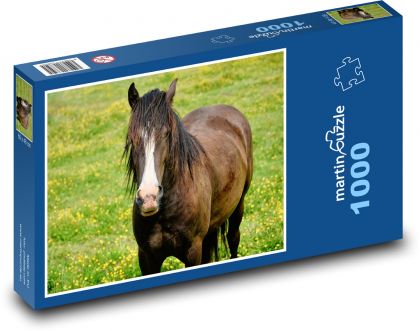 Hnědý kůň - zvíře, louka - Puzzle 1000 dílků, rozměr 60x46 cm