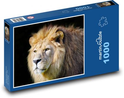 Lion - mane, mammal - Puzzle 1000 pieces, size 60x46 cm 