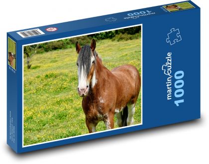 Kôň - lúka, pole - Puzzle 1000 dielikov, rozmer 60x46 cm