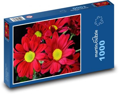 Chryzantéma - červené květy, květina  - Puzzle 1000 dílků, rozměr 60x46 cm