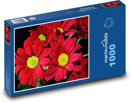 Chrysanthemum - red flowers, flower - Puzzle 1000 pieces, size 60x46 cm 