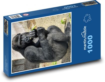 Gorila - opice, privát  - Puzzle 1000 dílků, rozměr 60x46 cm