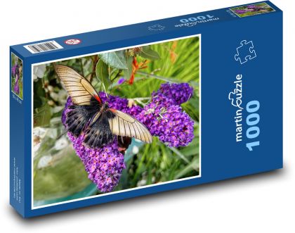 Motýl - květina, hmyz  - Puzzle 1000 dílků, rozměr 60x46 cm