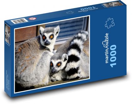 Lemur - zoo, cicavec - Puzzle 1000 dielikov, rozmer 60x46 cm
