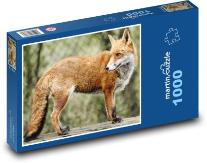 Liška - divoké zvíře, savec - Puzzle 1000 dílků, rozměr 60x46 cm