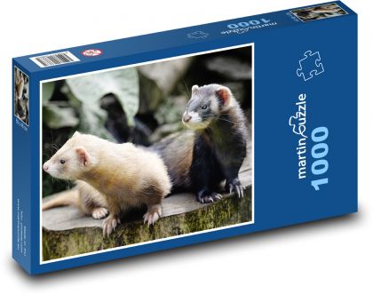 Frettchen - Tiere, Säugetiere - Puzzle - 1000 Teile