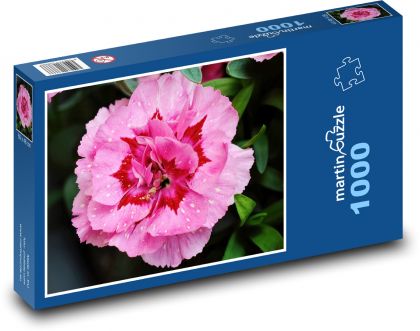 Růžový květ - květina, zahrada - Puzzle 1000 dílků, rozměr 60x46 cm