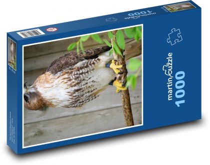 Hawk - bird of prey, animal - Puzzle 1000 pieces, size 60x46 cm 