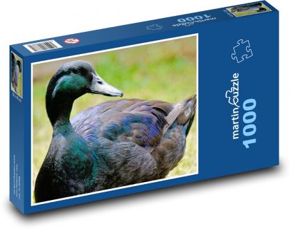 Kaczka - ptak wodny, zwierzę - Puzzle 1000 elementów, rozmiar 60x46 cm