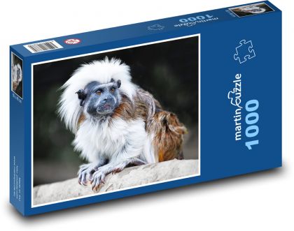 Tamarín - opice, zvíře - Puzzle 1000 dílků, rozměr 60x46 cm