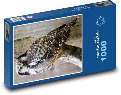 Sova - noční pták, zvíře - puzzle 1000 dílků