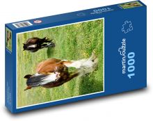 Horses - meadow, grazing Puzzle 1000 pieces - 60 x 46 cm 