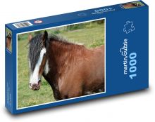 Hnedý kôň - zviera, farma Puzzle 1000 dielikov - 60 x 46 cm 