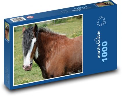 Hnědý kůň - zvíře, farma - Puzzle 1000 dílků, rozměr 60x46 cm