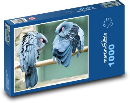Palmový kakadu - pták, zoo - puzzle 1000 dílků