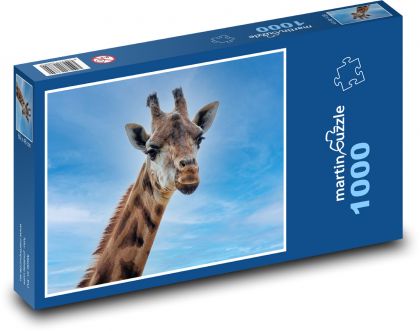 Žirafa - zvíře, savec - Puzzle 1000 dílků, rozměr 60x46 cm