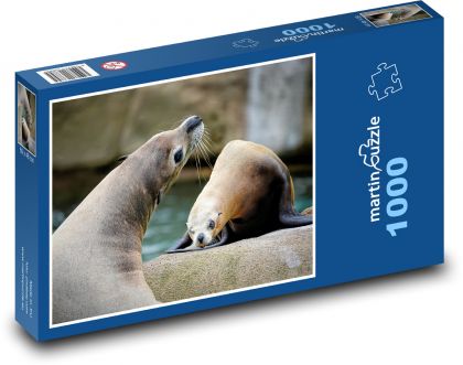 Lachtani - vodní zvířata, savci  - puzzle 1000 dílků