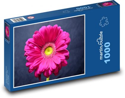 Růžová gerbera - květina, zahrada - Puzzle 1000 dílků, rozměr 60x46 cm