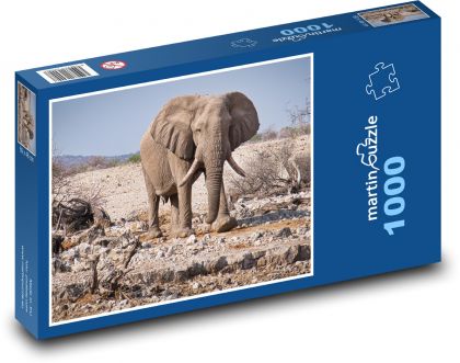 Slon - Namibie, národní park - puzzle 1000 dílků