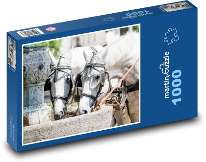 Baden Baden - kůň, napít se - Puzzle 1000 dílků, rozměr 60x46 cm