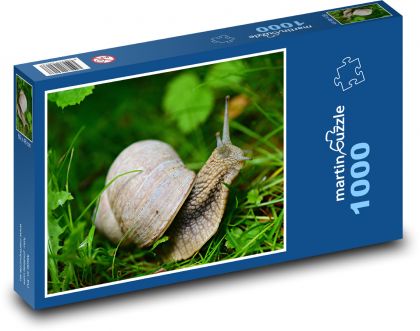 Ślimak - zwierzę, trawa - Puzzle 1000 elementów, rozmiar 60x46 cm