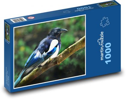 Straka - pták, zvíře - puzzle 1000 dílků