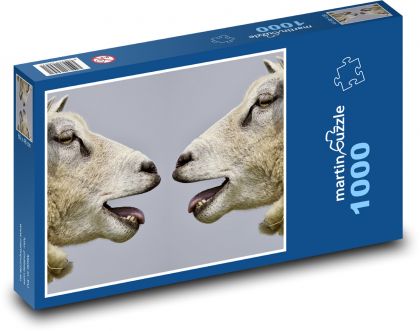 Ovce - mečet, zvířata - Puzzle 1000 dílků, rozměr 60x46 cm